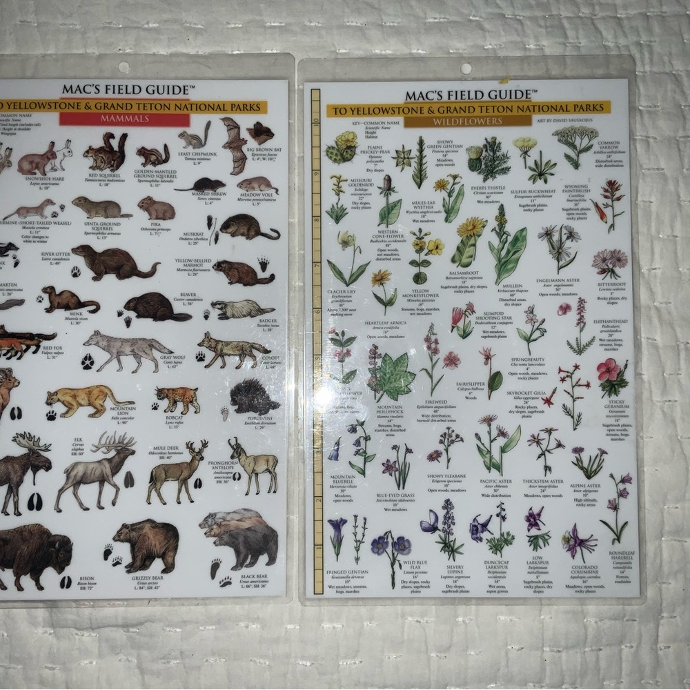 Mac's Field Guides for Yellowstone & Grand Teton National Parks Nature ID Set